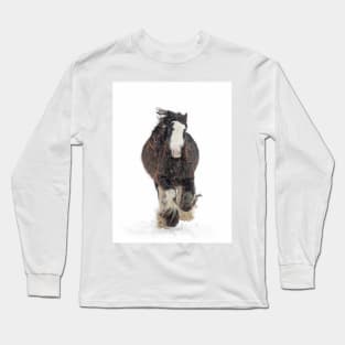 Clydesdale horse in winter Long Sleeve T-Shirt